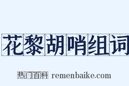 花黎胡哨组词是什么意思的图片
